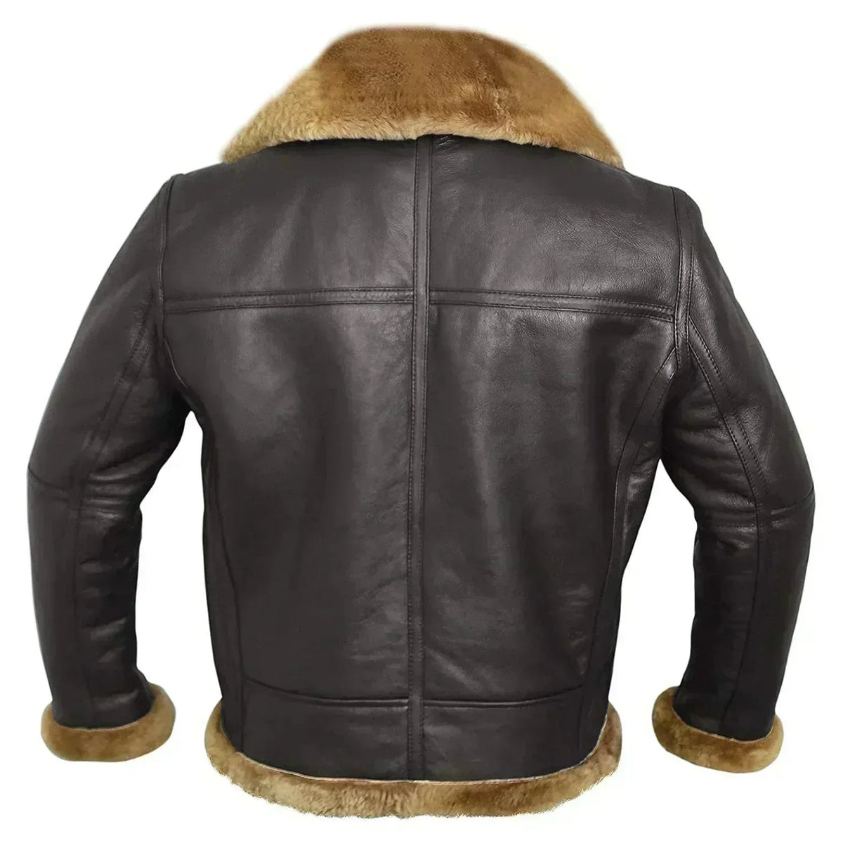 Back view of the dark brown leather jacket showing seam panels and the shearling collar and trim 7
